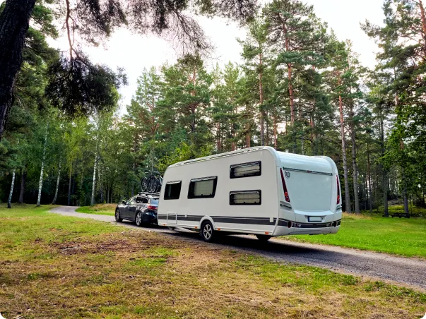 Car et caravane sur un chemin forestier, entourés d'arbres verts.